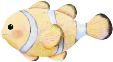 Watercolor hand drawn illustration of nemo fish png