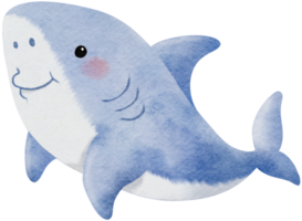 Watercolor hand drawn illustration of shark in blue color png