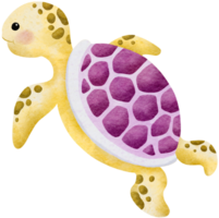 Watercolor hand drawn illustration of sea turtle in pink and yellow color png