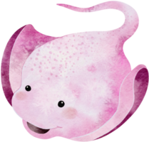 Watercolor hand drawn illustration of stingray in pink color png