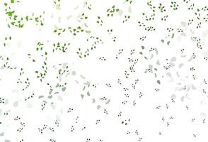 Light green vector backdrop with abstract shapes.