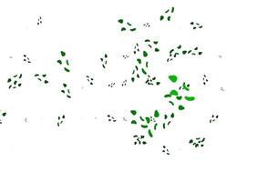 Light Green vector texture with random forms.