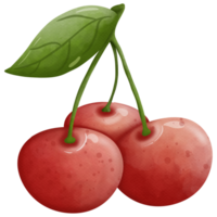 Cereza acuarela elementos entonces linda png