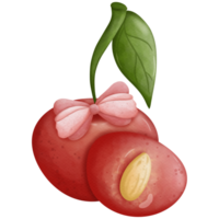 Cherry watercolor so cute png