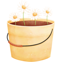 Watercolor Daisies in a Bucket Illustration png