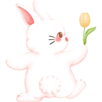 Watercolor Easter Bunny Holding Tulip Illustration png