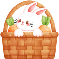 Watercolor Easter Bunny in Wooden Basket with Carrots Illustration png