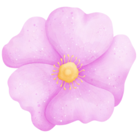 acquerello viola fiore illustrazione png