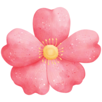 Watercolor Pink Flower Illustration png