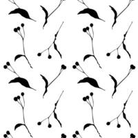 Linden Tilia pattern , branch seed black silhouettes closeup, white background. vector