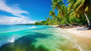 ai généré une image de une tranquille tropical plage avec balancement paume des arbres et pétillant clair eau, une tropical paradis avec une bordé de palmiers plage et clair turquoise eau, ai généré video