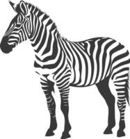 AI generated Silhouette zebra animal black color only vector