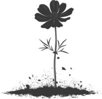 AI generated Silhouette cosmos flower in the ground black color only vector