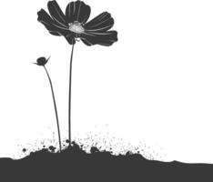 AI generated Silhouette cosmos flower in the ground black color only vector