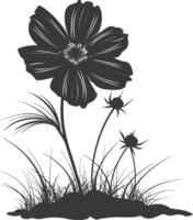 AI generated Silhouette cosmos flower in the ground black color only vector