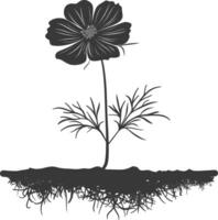 AI generated Silhouette cosmos flower in the ground black color only vector