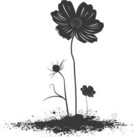 AI generated Silhouette cosmos flower in the ground black color only vector