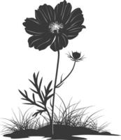 AI generated Silhouette cosmos flower in the ground black color only vector