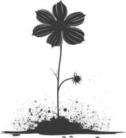 AI generated Silhouette cosmos flower in the ground black color only vector