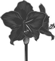 AI generated Silhouette amaryllis flower black color only vector