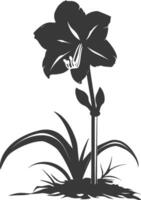 AI generated Silhouette amaryllis flower in the ground black color only vector