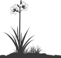 AI generated Silhouette amaryllis flower in the ground black color only vector