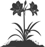 AI generated Silhouette amaryllis flower in the ground black color only vector