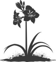 AI generated Silhouette amaryllis flower in the ground black color only vector