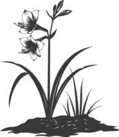 AI generated Silhouette amaryllis flower in the ground black color only vector