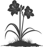 AI generated Silhouette amaryllis flower in the ground black color only vector