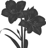 AI generated Silhouette amaryllis flower black color only vector