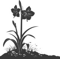 AI generated Silhouette amaryllis flower in the ground black color only vector