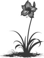 AI generated Silhouette amaryllis flower in the ground black color only vector