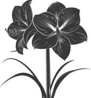 AI generated Silhouette amaryllis flower black color only vector