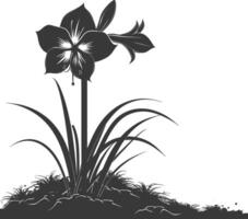 AI generated Silhouette amaryllis flower in the ground black color only vector