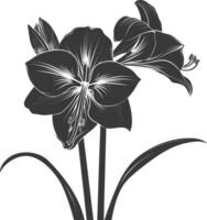 AI generated Silhouette amaryllis flower black color only vector