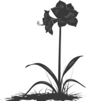 AI generated Silhouette amaryllis flower in the ground black color only vector