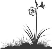 AI generated Silhouette amaryllis flower in the ground black color only vector