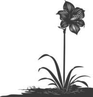 AI generated Silhouette amaryllis flower in the ground black color only vector