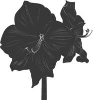 AI generated Silhouette amaryllis flower black color only vector