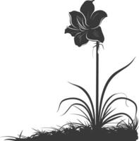 AI generated Silhouette amaryllis flower in the ground black color only vector