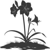 AI generated Silhouette amaryllis flower in the ground black color only vector