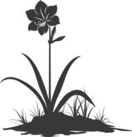 AI generated Silhouette amaryllis flower in the ground black color only vector