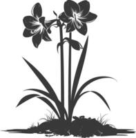 AI generated Silhouette amaryllis flower in the ground black color only vector