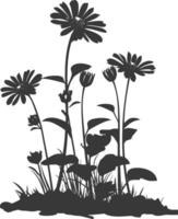 AI generated Silhouette aster flower in the ground black color only vector