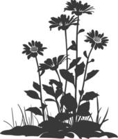 AI generated Silhouette aster flower in the ground black color only vector