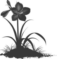 AI generated Silhouette amaryllis flower in the ground black color only vector