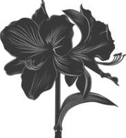 AI generated Silhouette amaryllis flower black color only vector