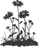 AI generated Silhouette aster flower in the ground black color only vector