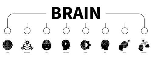 Brain banner web icon vector illustration concept